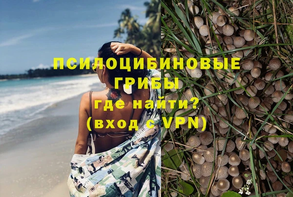 соль ск Кинешма